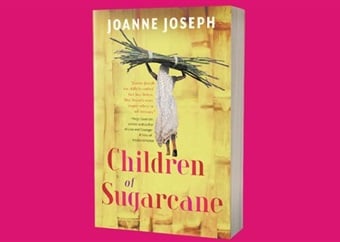 NewsletterSubscription